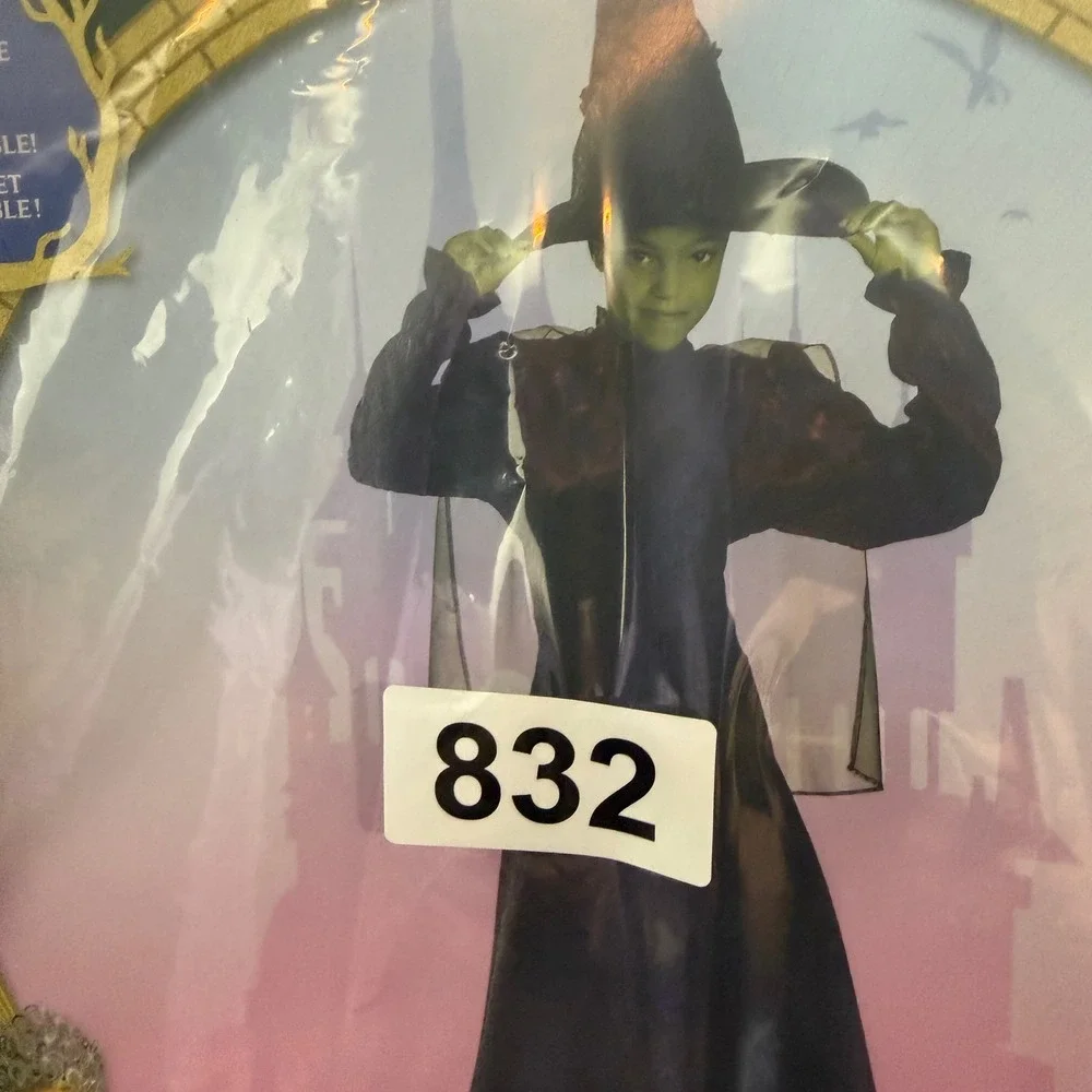 Disguise Wicked Movie Elphaba Witch Costume Kids XS 3T-4T Dress Hat Cape 172589M
